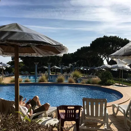 Excelente T1 Oura Bicos Lucia