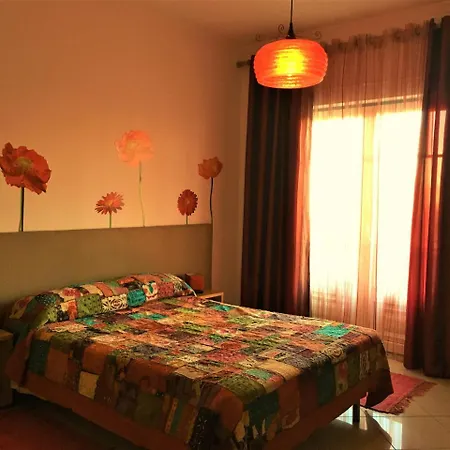 Excelente T1 Oura Bicos Lucia *